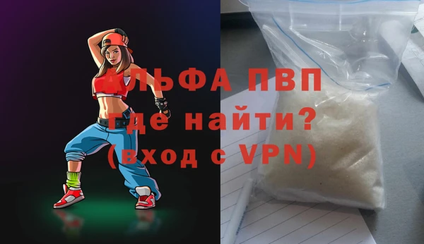 индика Грязовец