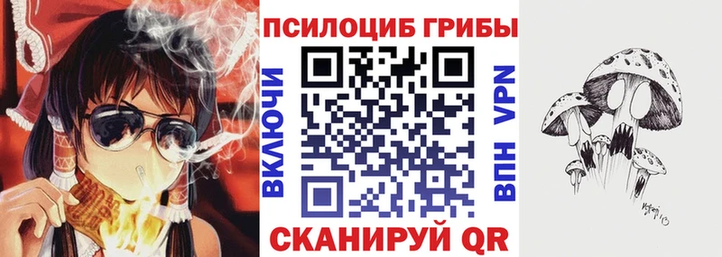 blacksprut онион  Буинск  Псилоцибиновые грибы ЛСД 